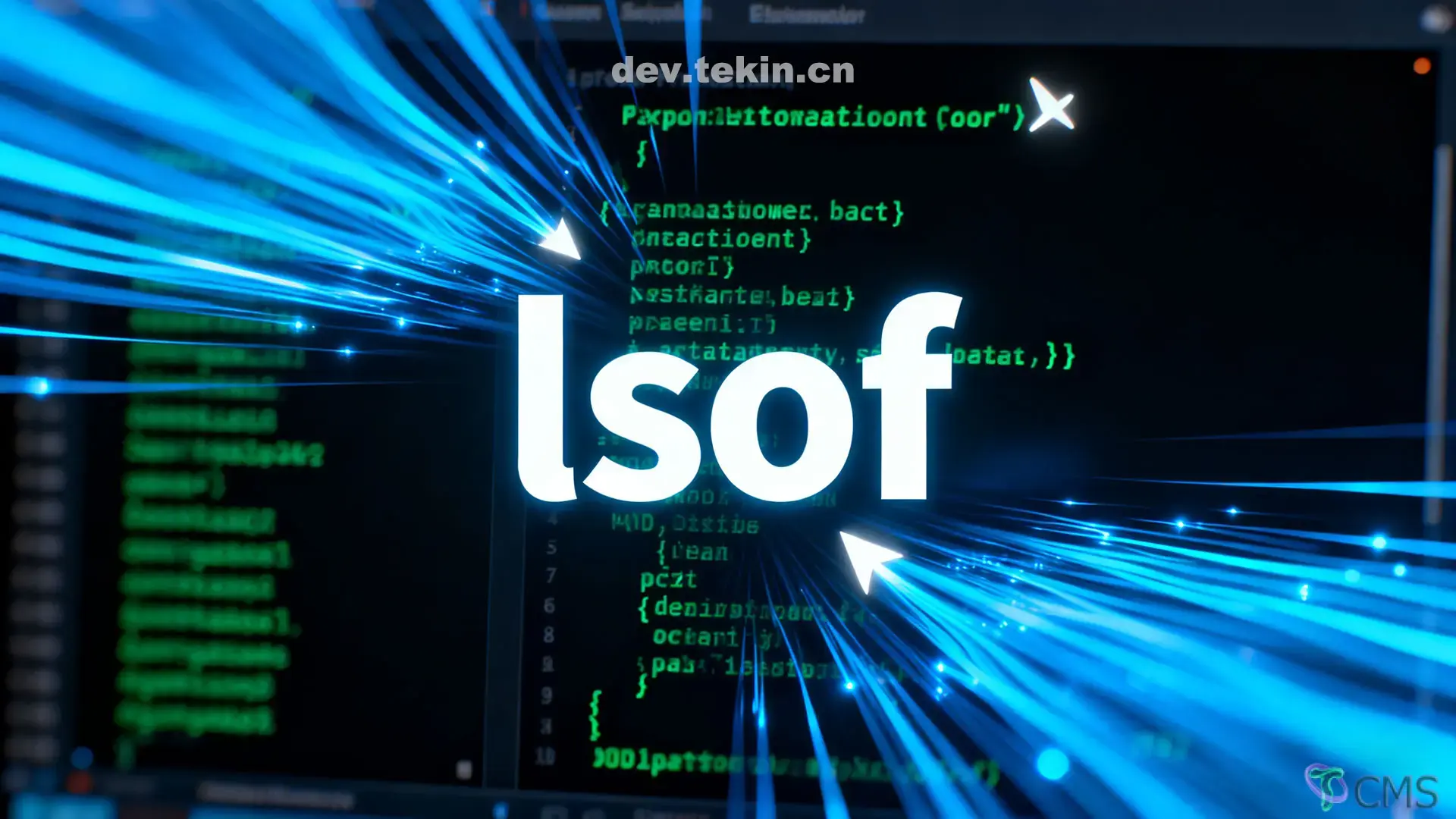 Lsof命令详解：参数说明与进程管理实战指南