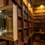 AI幻觉底层逻辑系列 第 7 篇《为什么 AI 能把不存在的书说得有模有样？》